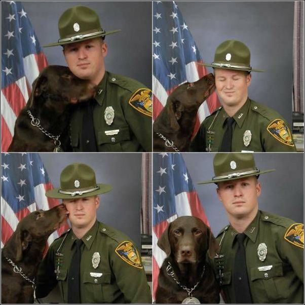 фотоприколы