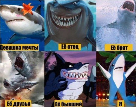 прикольные картинки