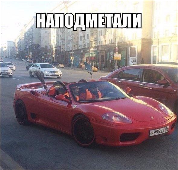 прикольные картинки