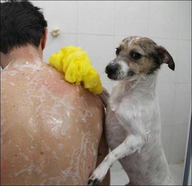 фотоприколы