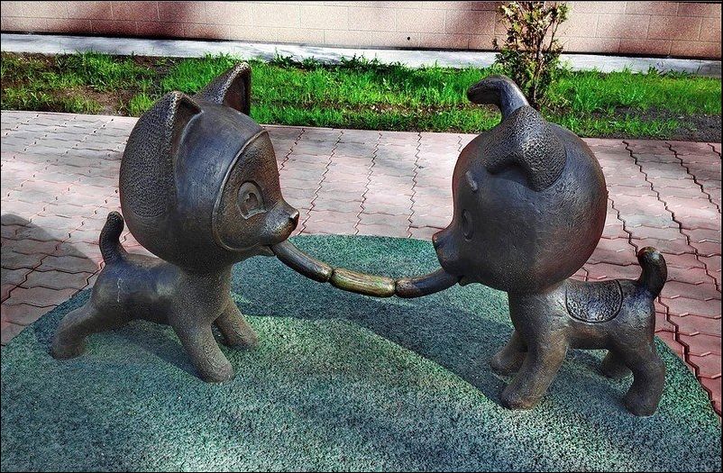 фотоприколы