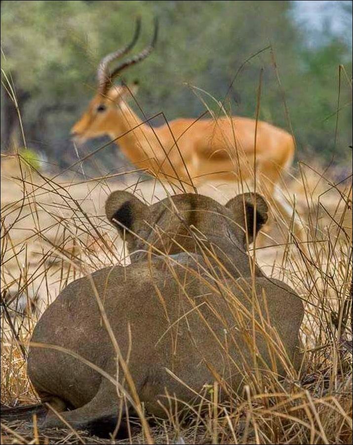 фотоприколы