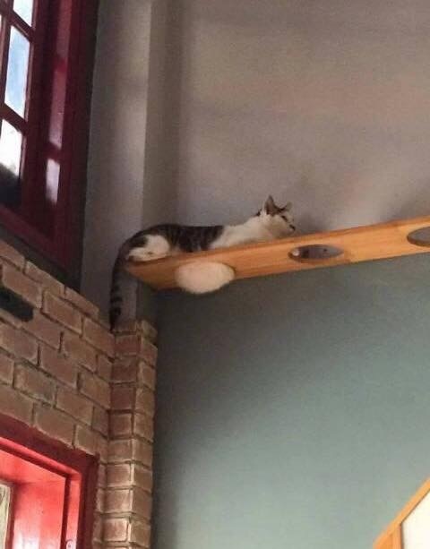 фотоприколы