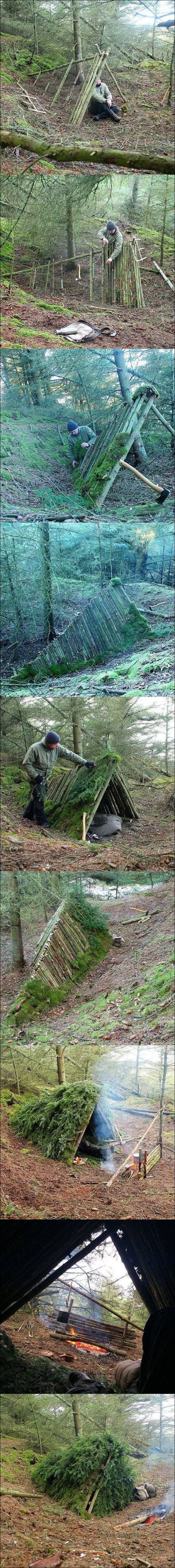 фотоприколы