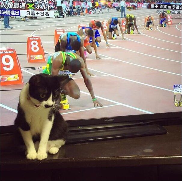 фотоприколы