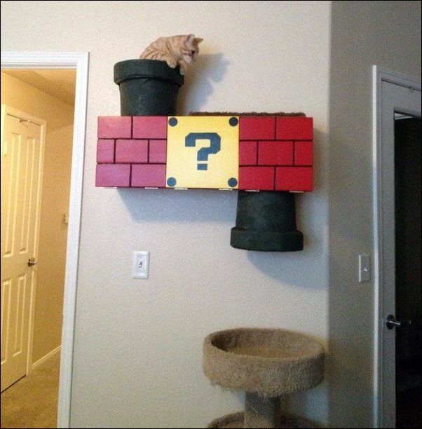 фотоприколы