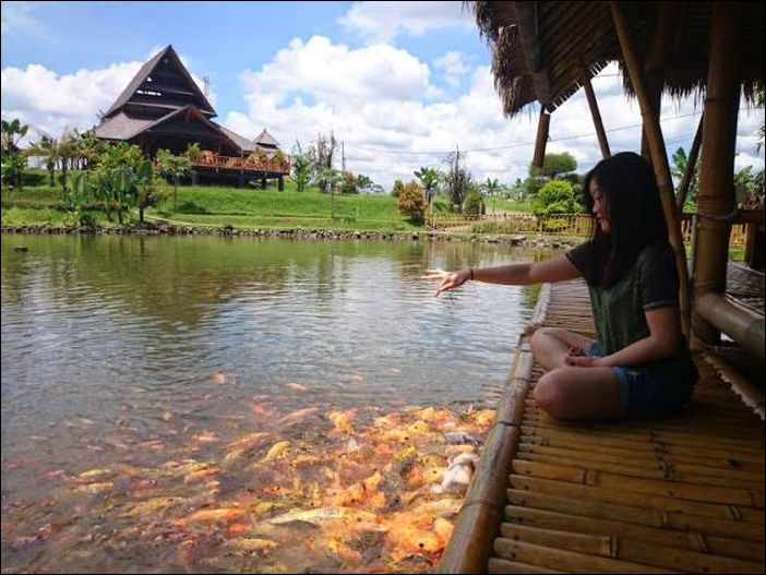 фотоприколы