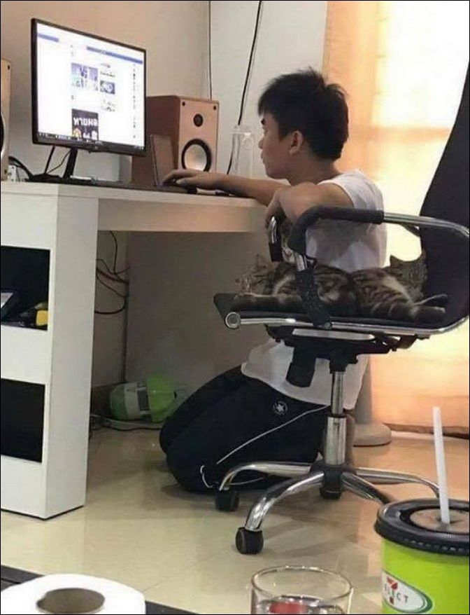 фотоприколы