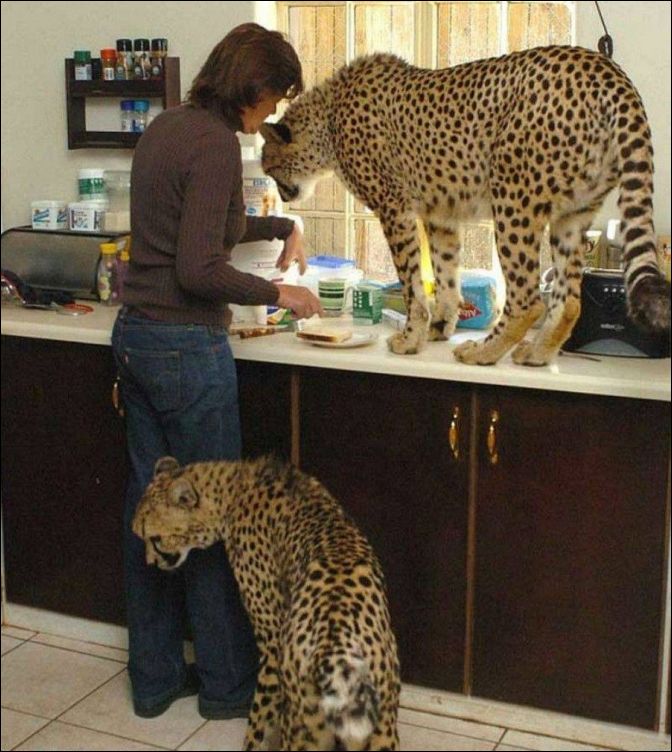 фотоприколы