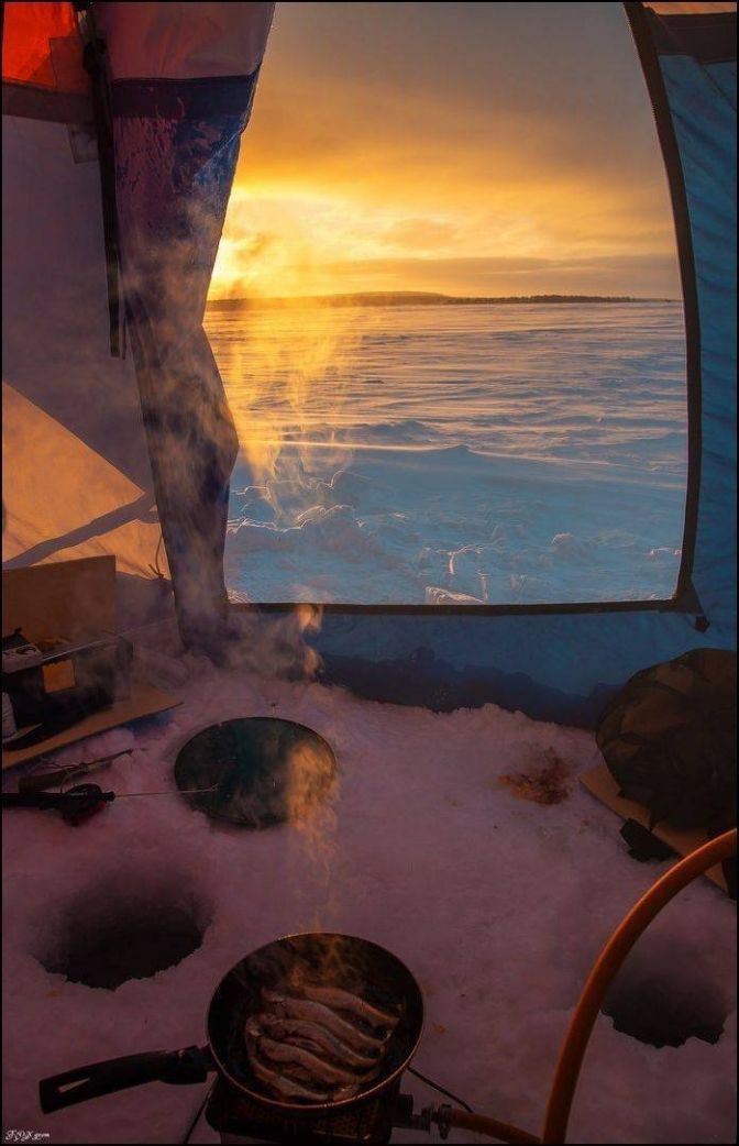 фотоприколы