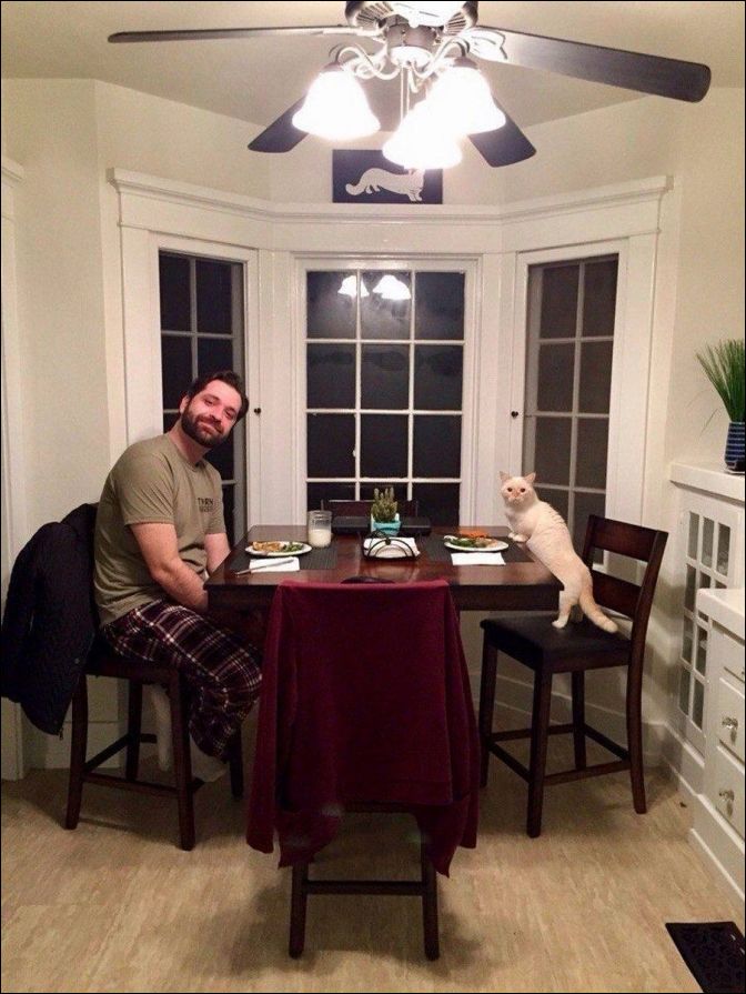 фотоприколы