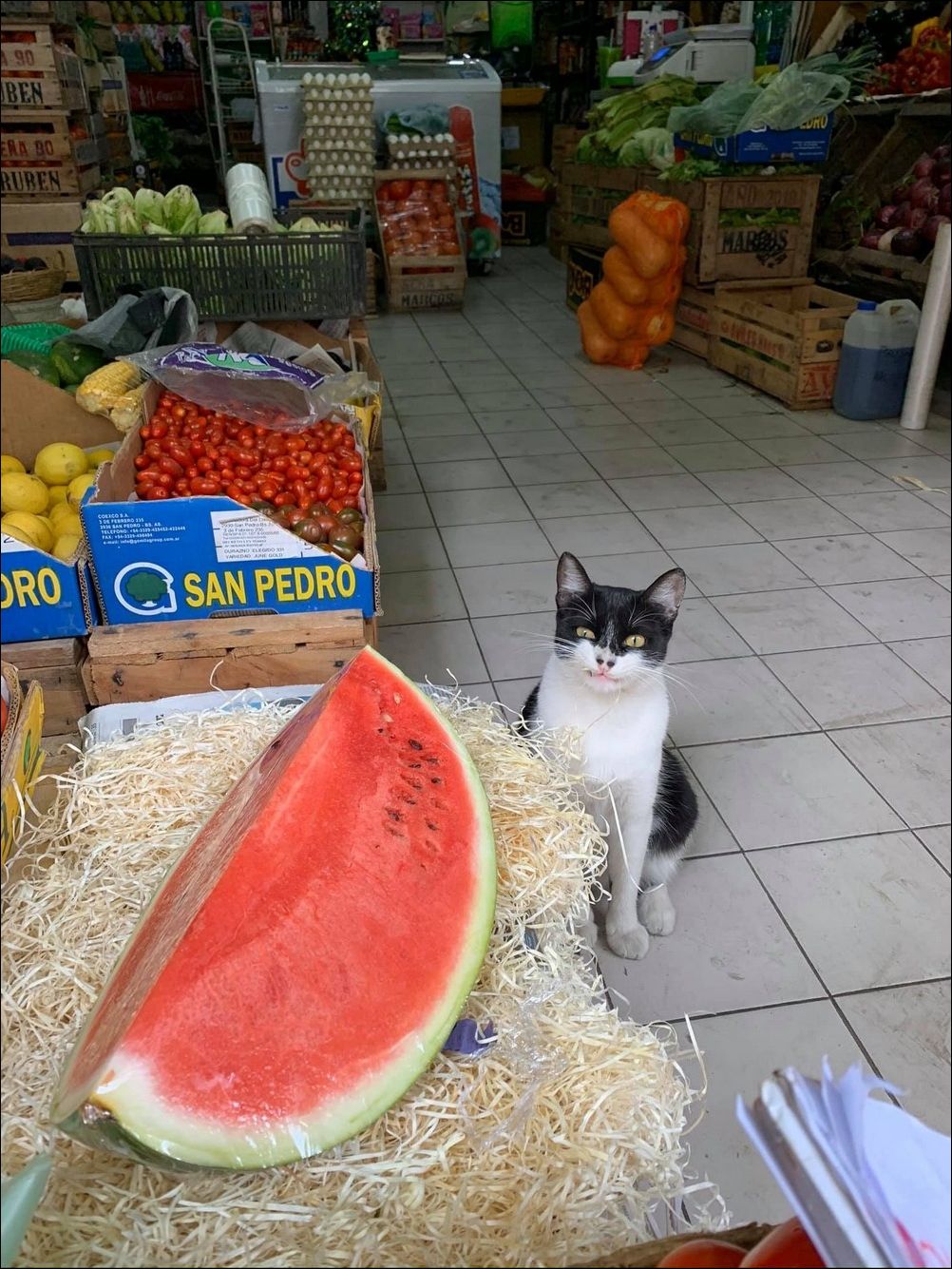 фото приколы