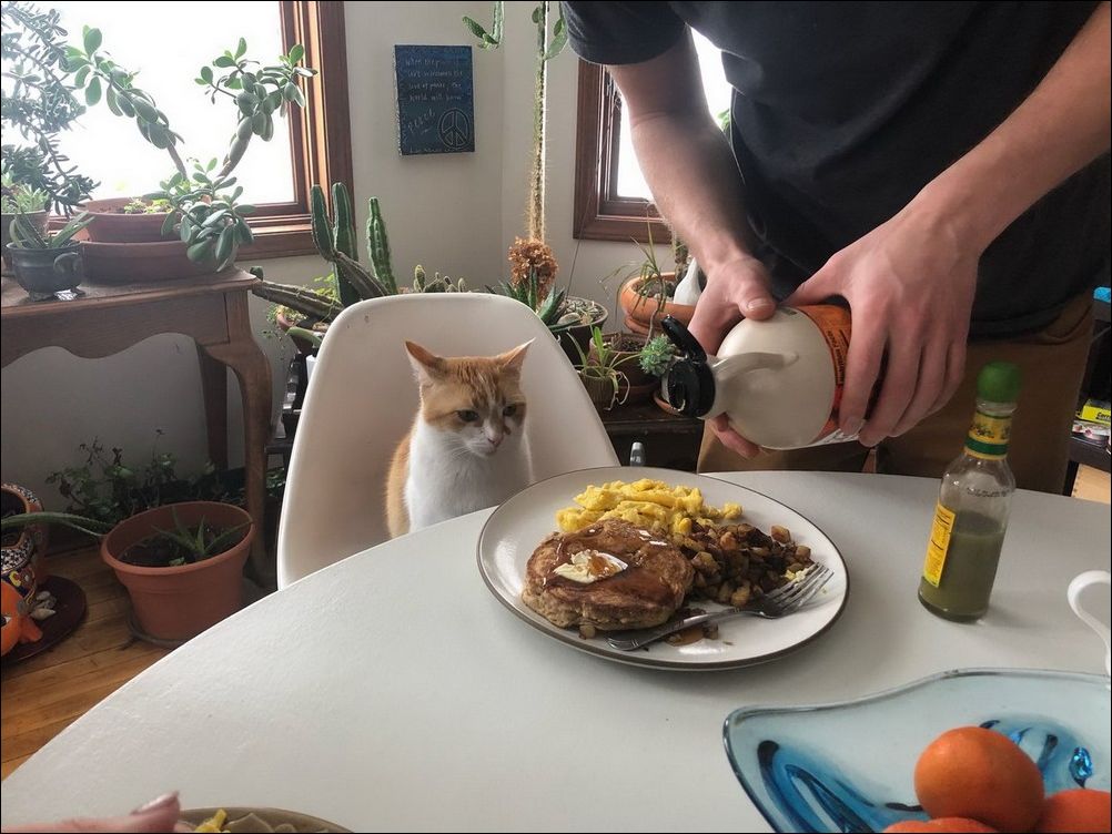 фото приколы