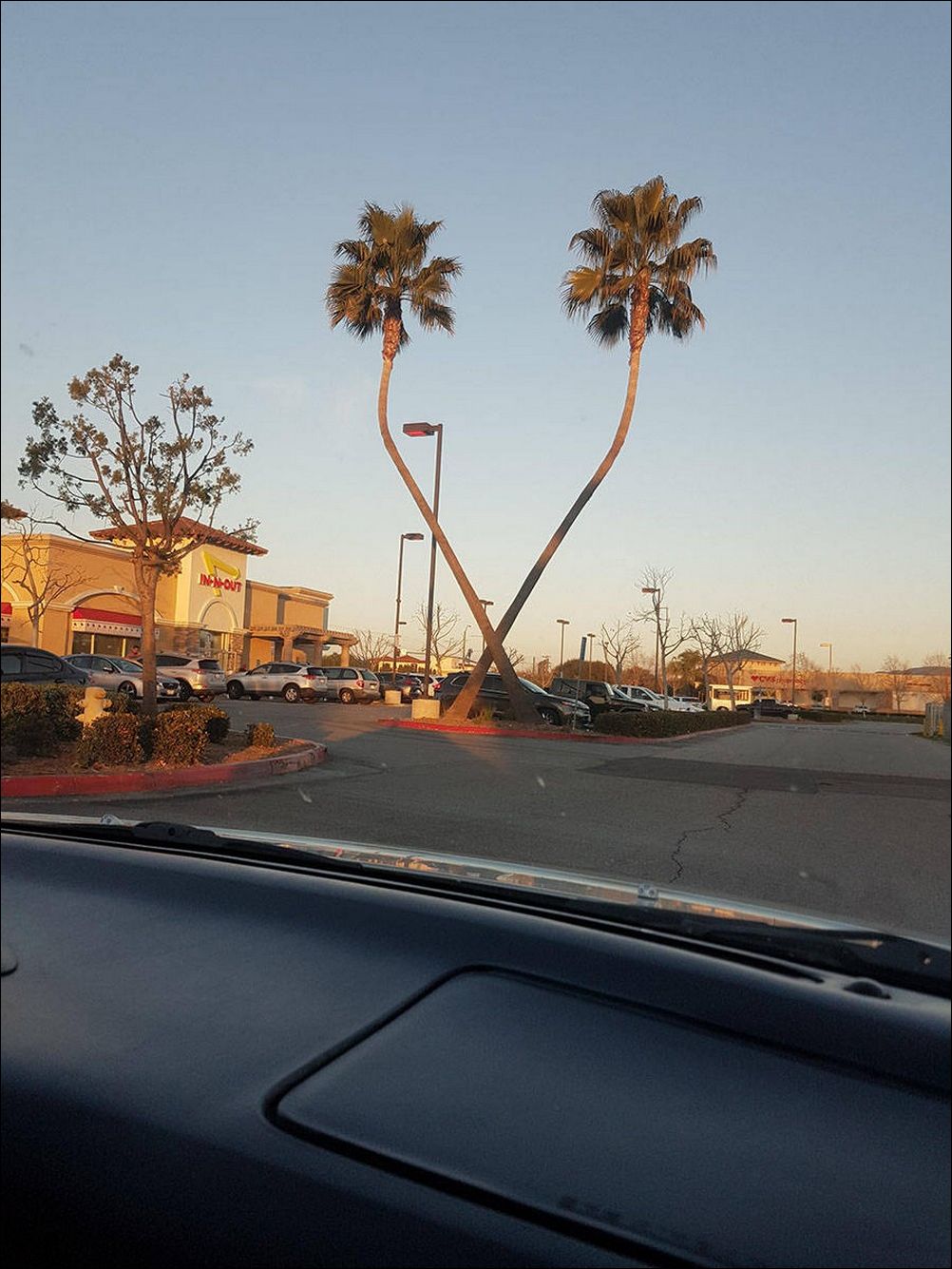 фото приколы