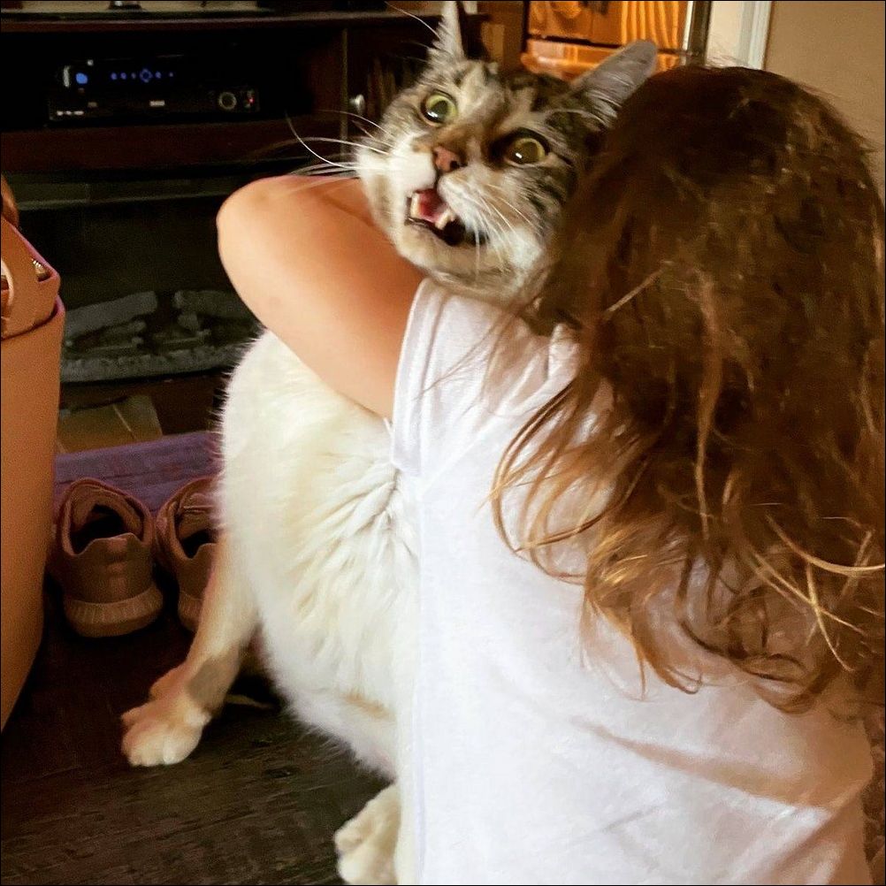 фото приколы