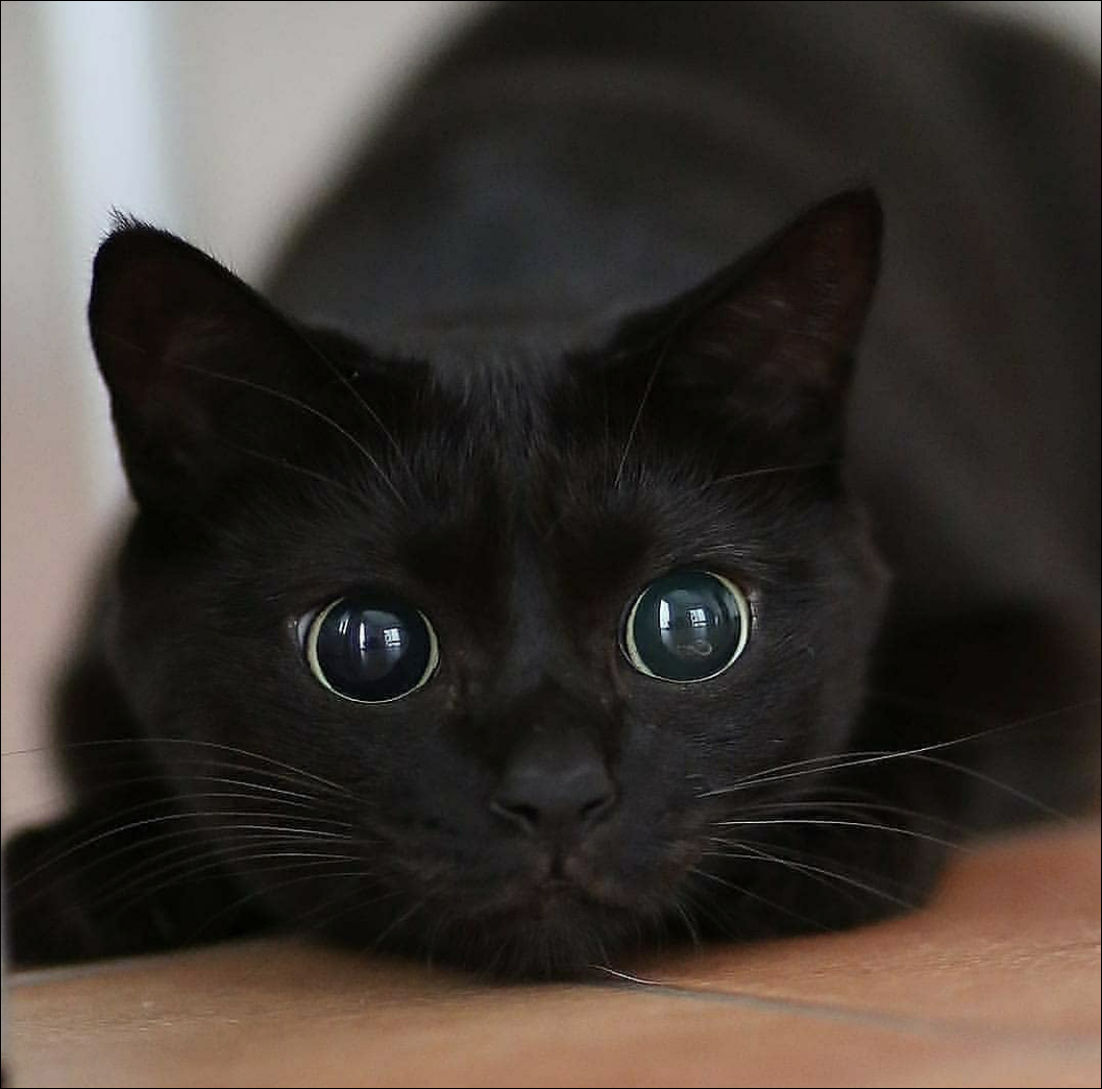 фото приколы