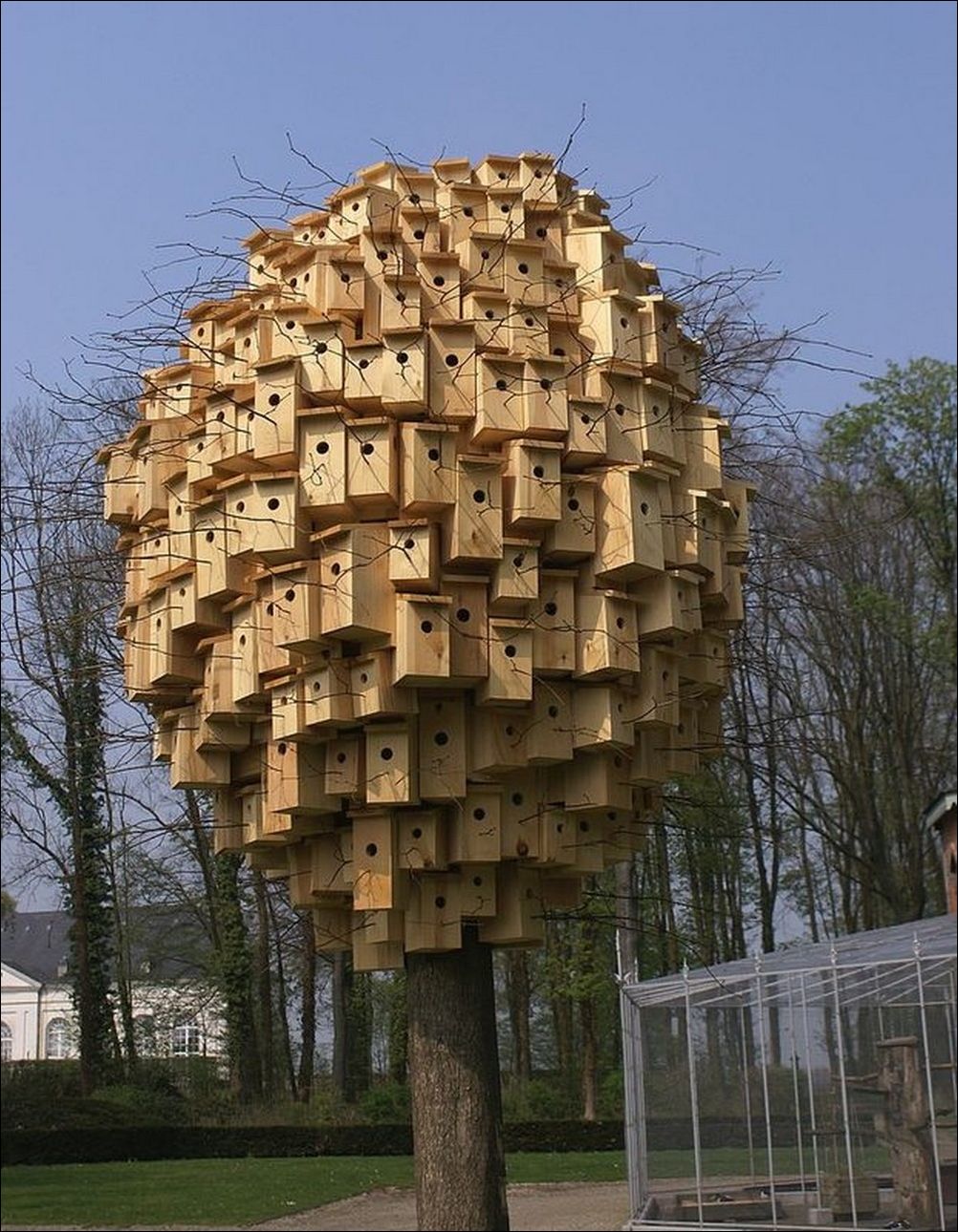 фото приколы