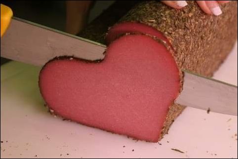 фото приколы