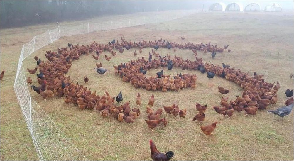 фото приколы