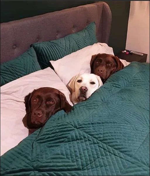 фото приколы