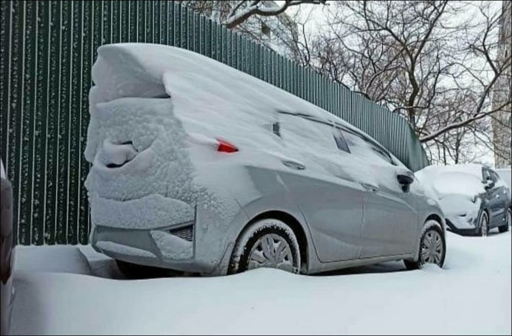 фото приколы