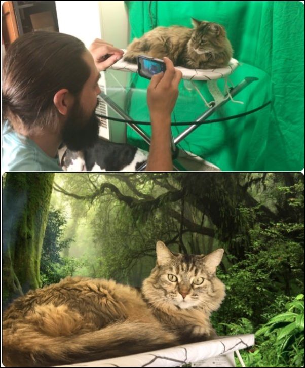 фото приколы