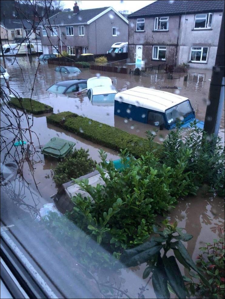 фото приколы