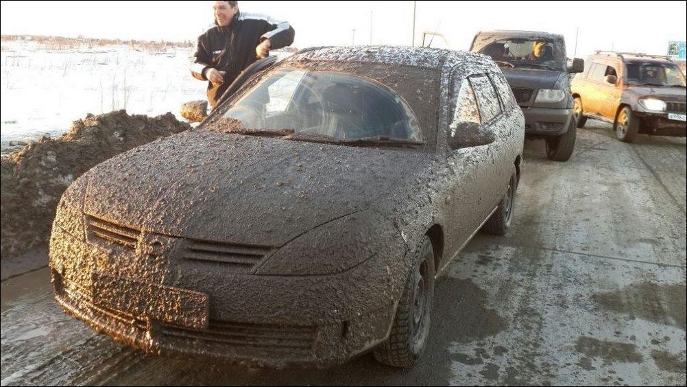 фото приколы