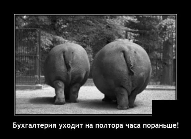 демотиватор