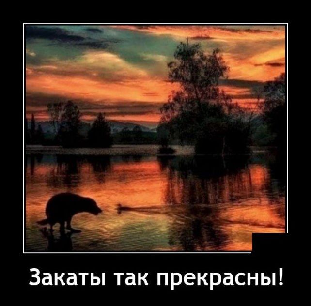 демотиватор