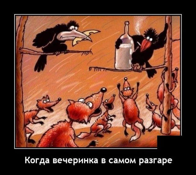 демотиватор