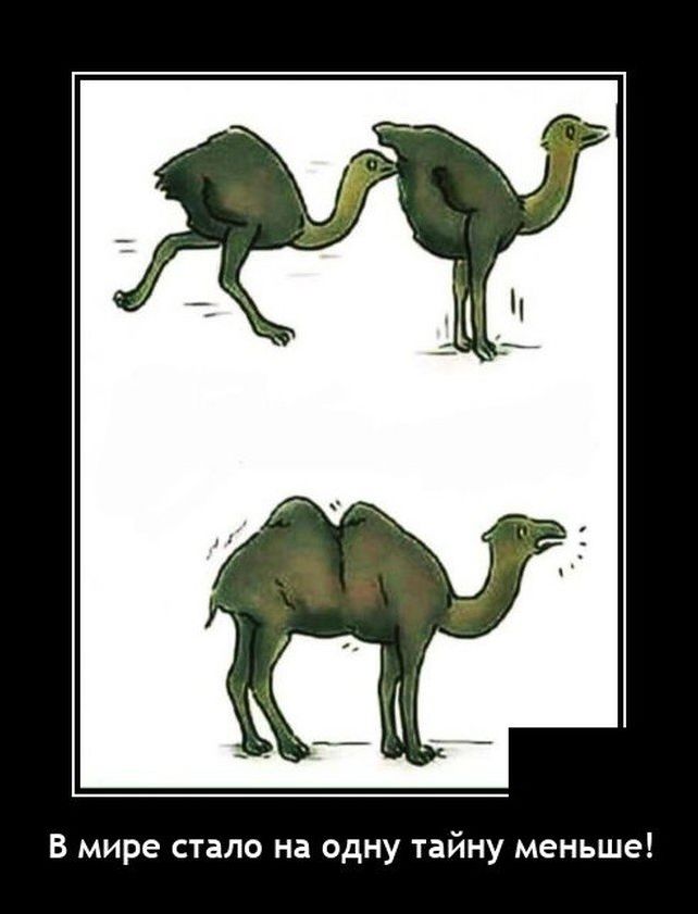 демотиватор