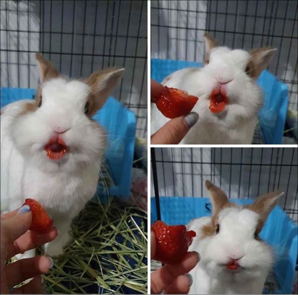 фотоприколы