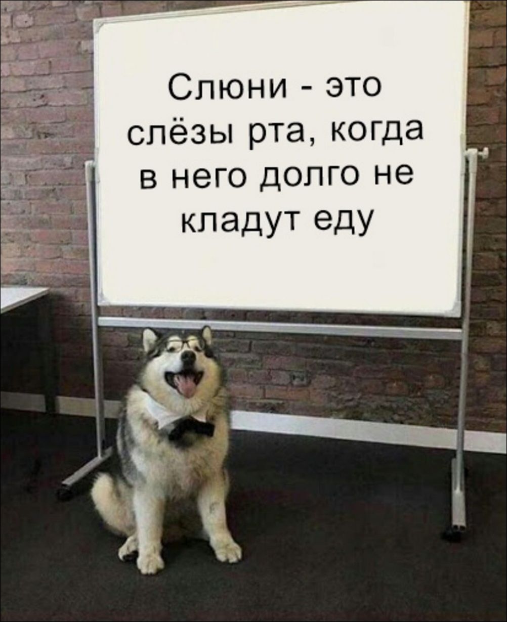 фотоприколы