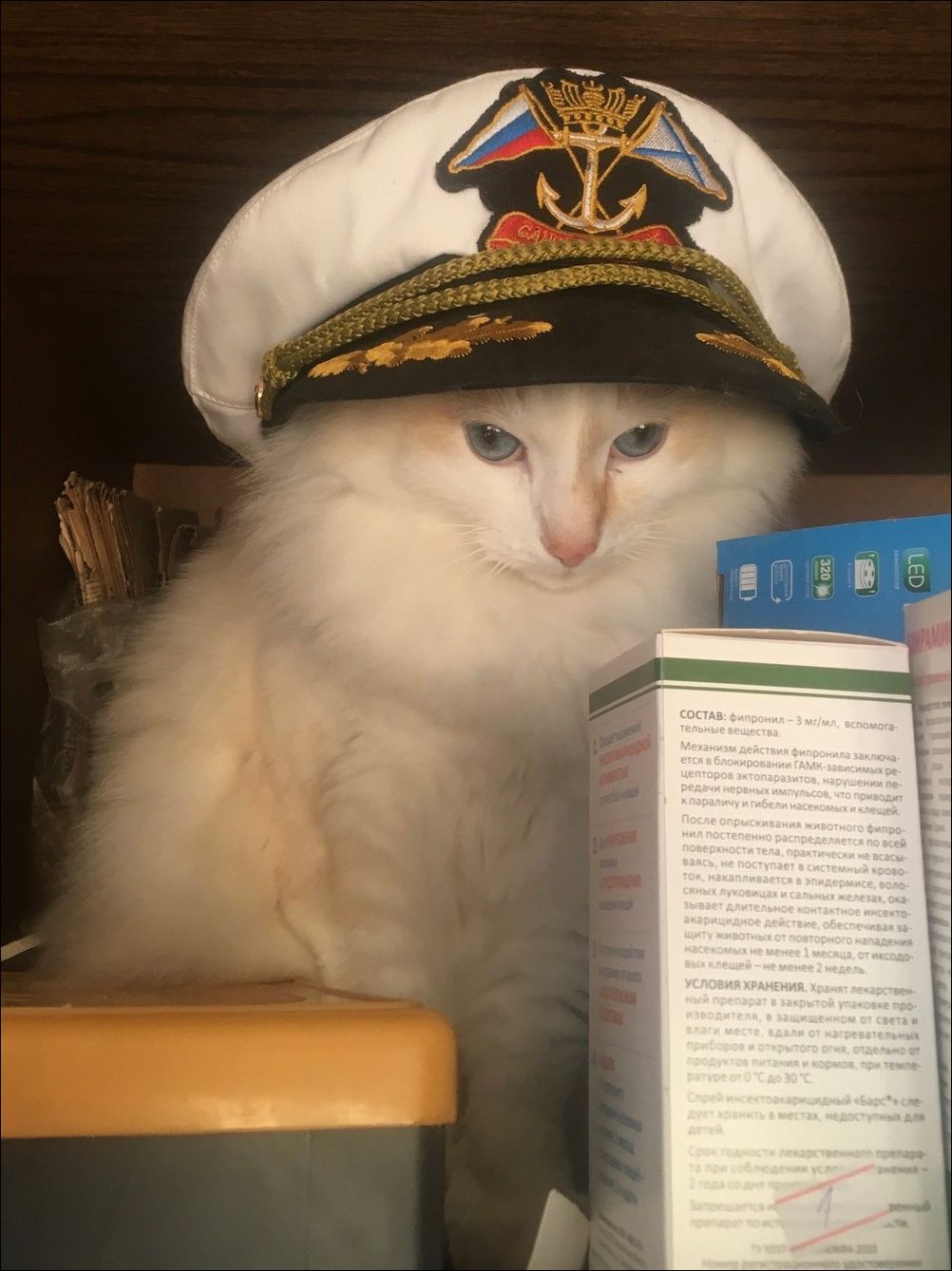 фотоприколы