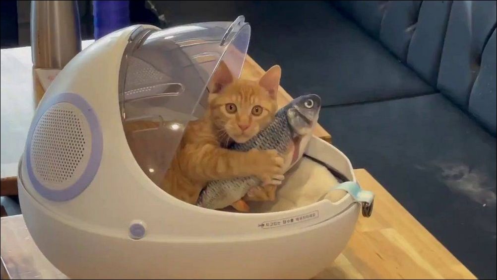 фотоприколы