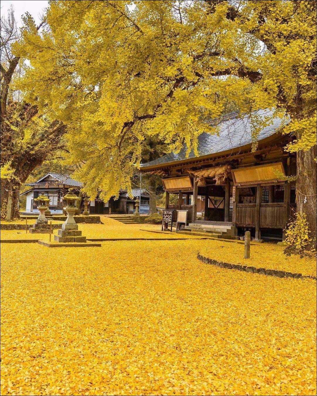 фотоприколы