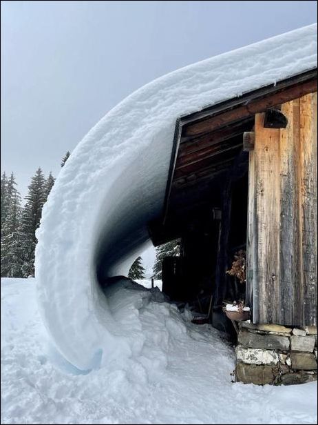 фото приколы