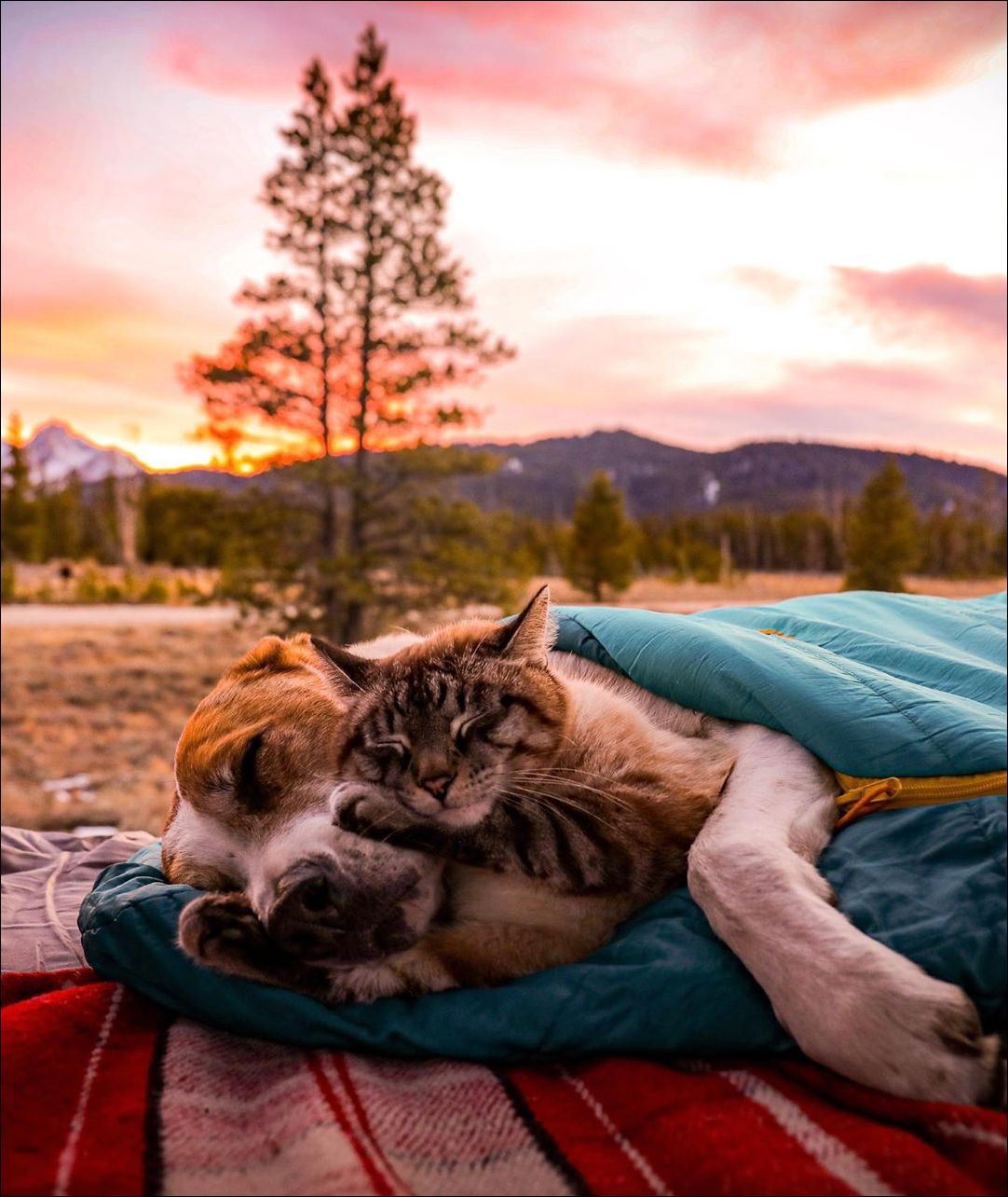 фото приколы