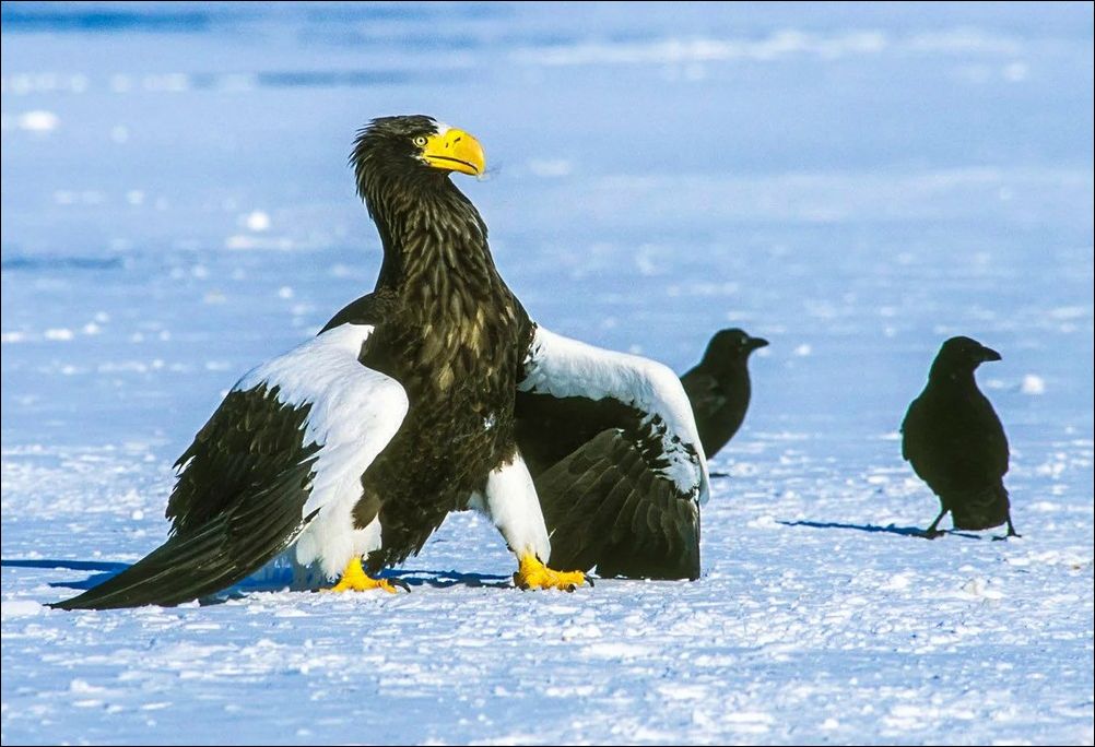 фото приколы