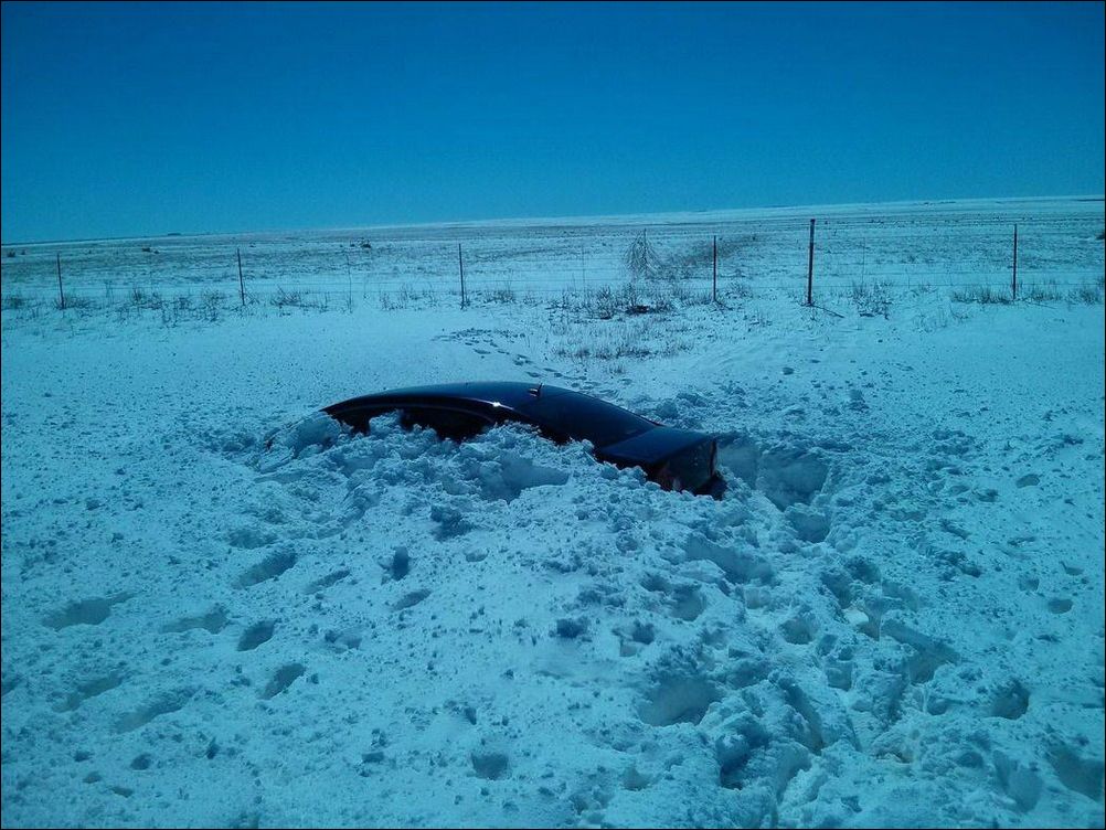 фото приколы