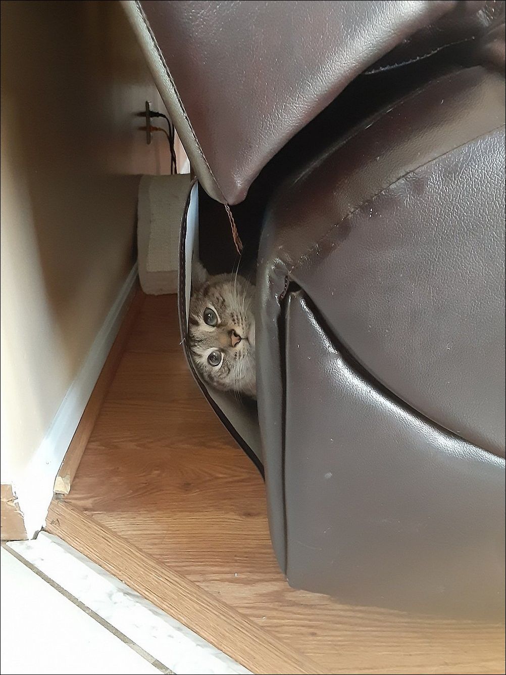 фото приколы