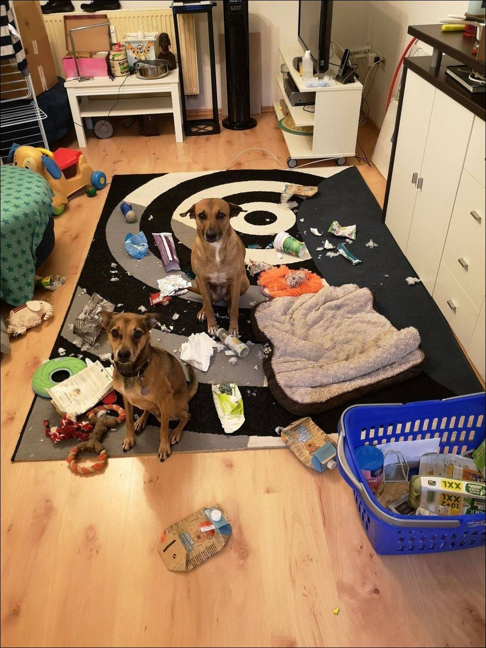 фото приколы