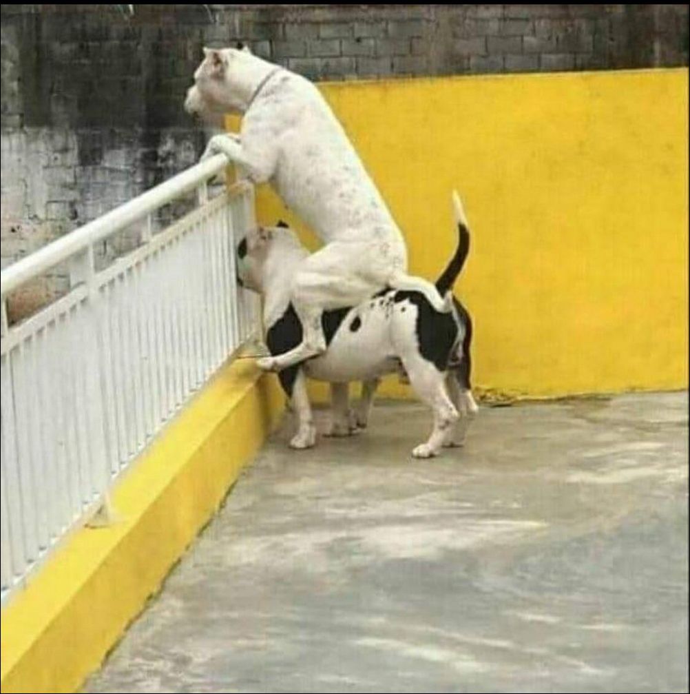 фото приколы