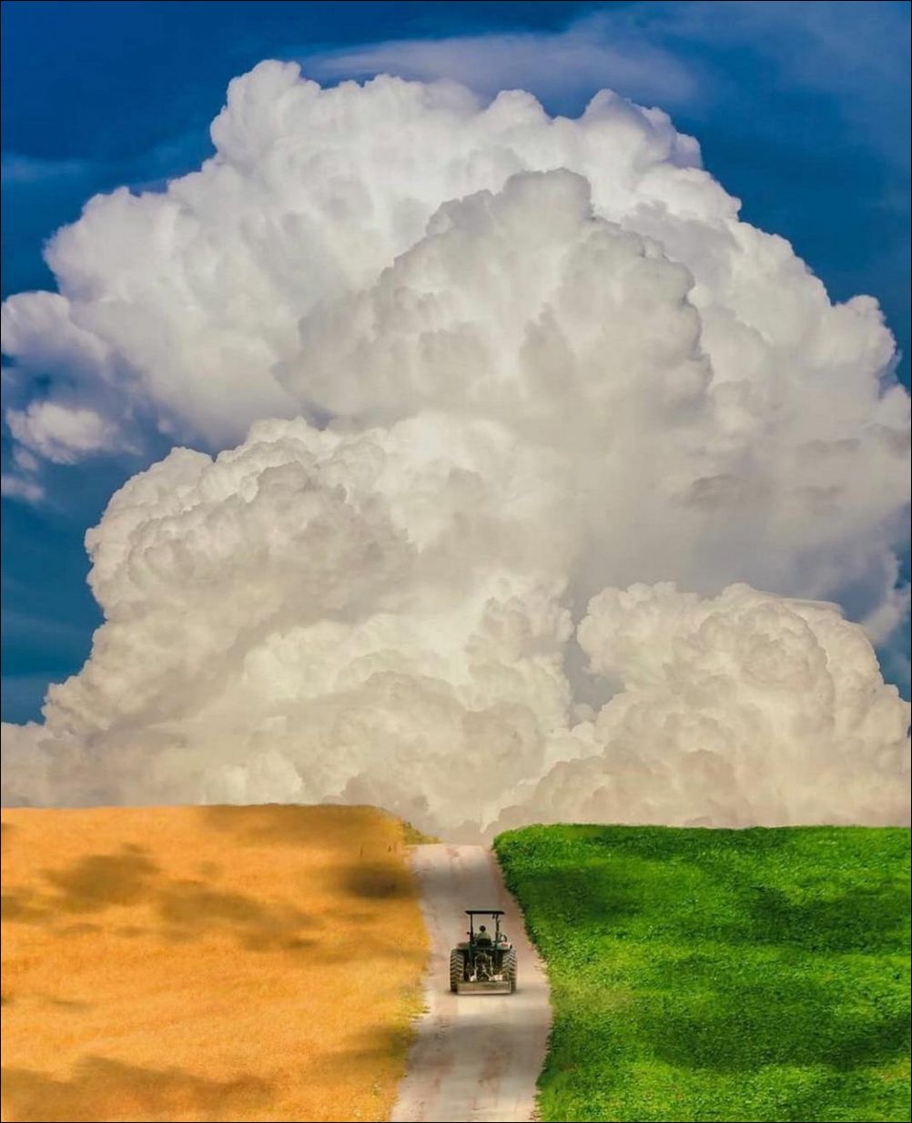 фото приколы