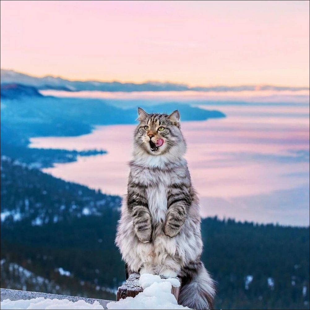 фото приколы