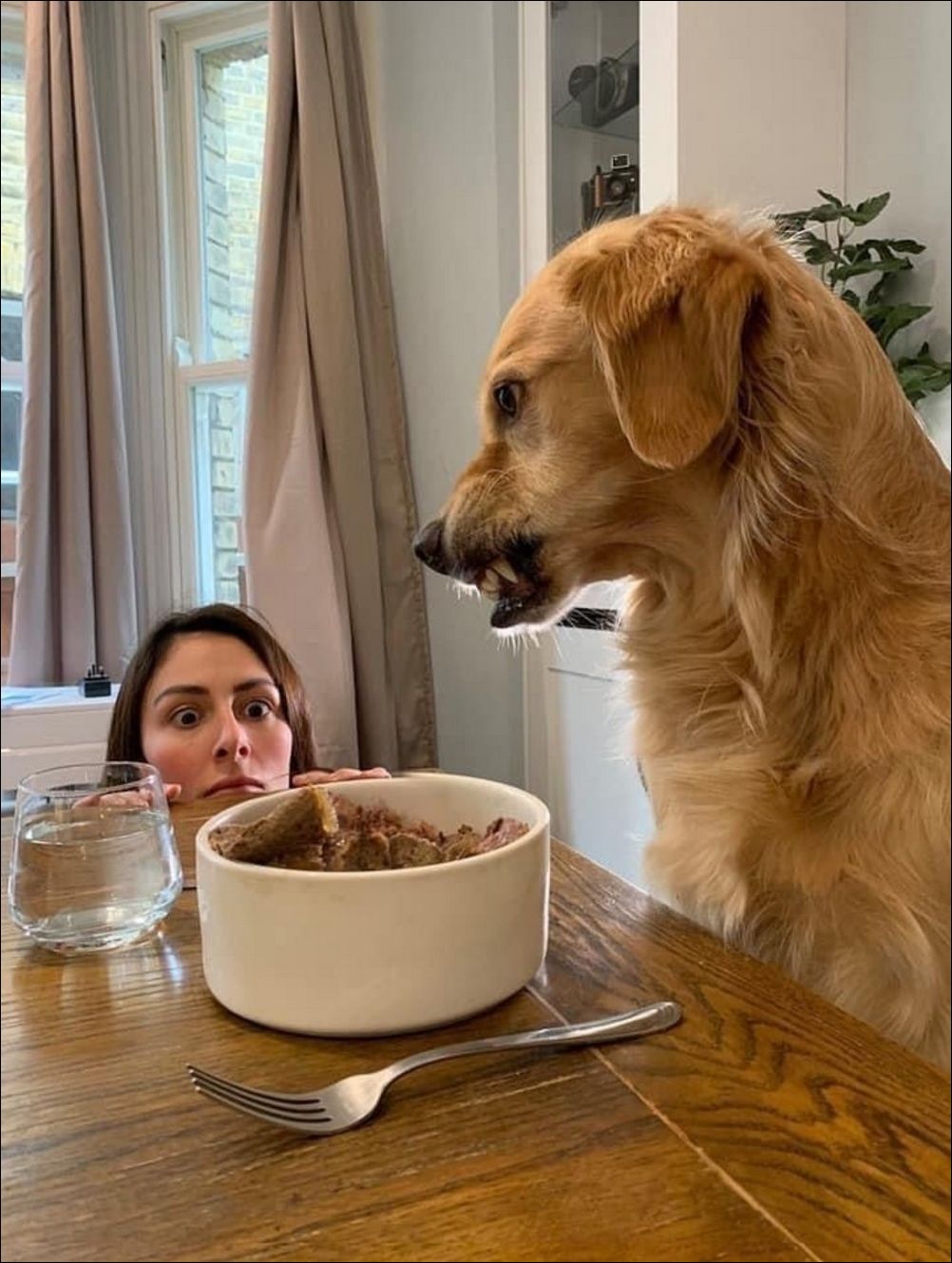 фото приколы