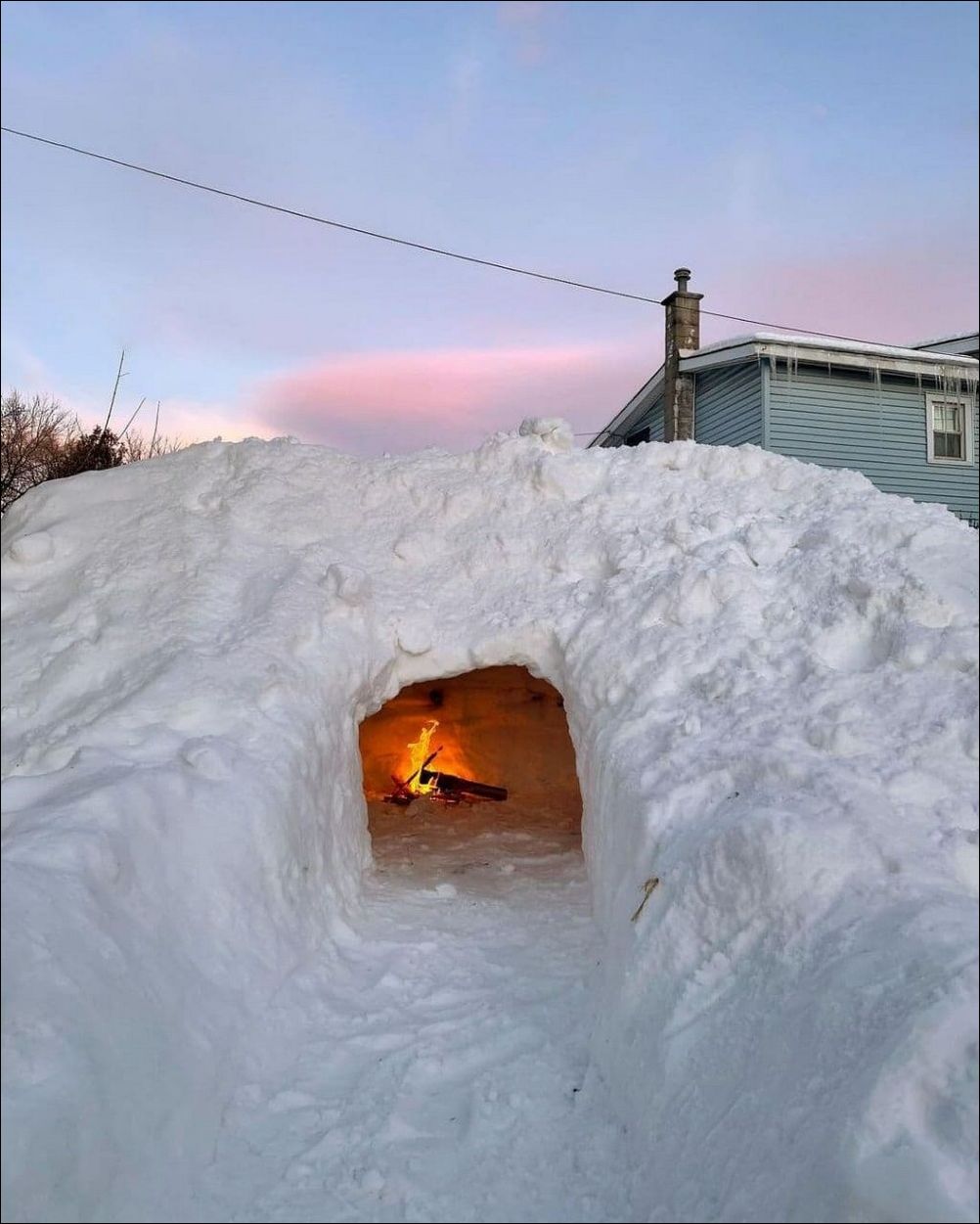 фото приколы