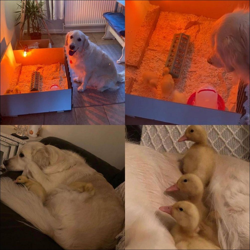 фото приколы