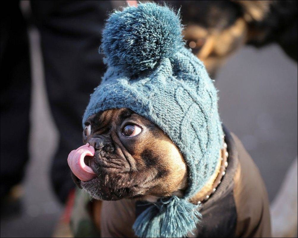 фото приколы